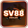 sv88vninfo