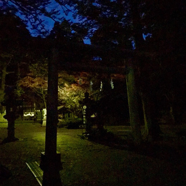 夜の春日山神社