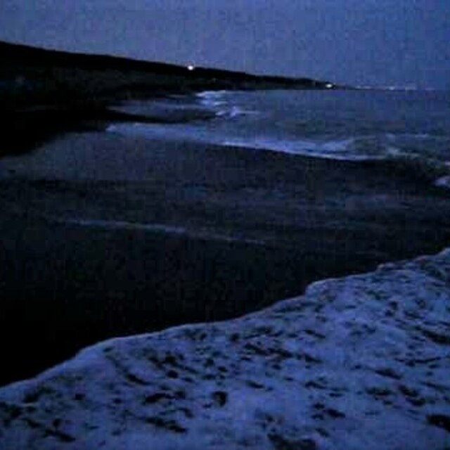 夜の砂浜