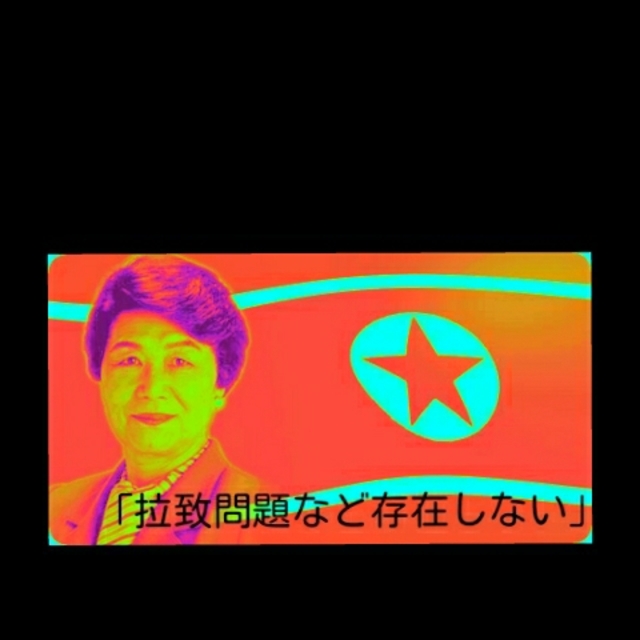 敵国の国会議員にまで上り詰めた超凄腕の女スパイさん